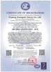 Китай Puyang Zhongshi Group Co., Ltd. Сертификаты