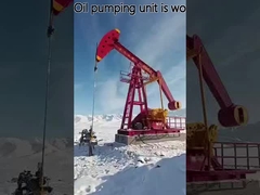 Масло Джек Jack/насоса блока насоса луча API 11e идя и запасные части